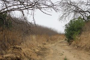 Chino Hills sp - Telegraph cyn road by David Lofink - Wikimedia
